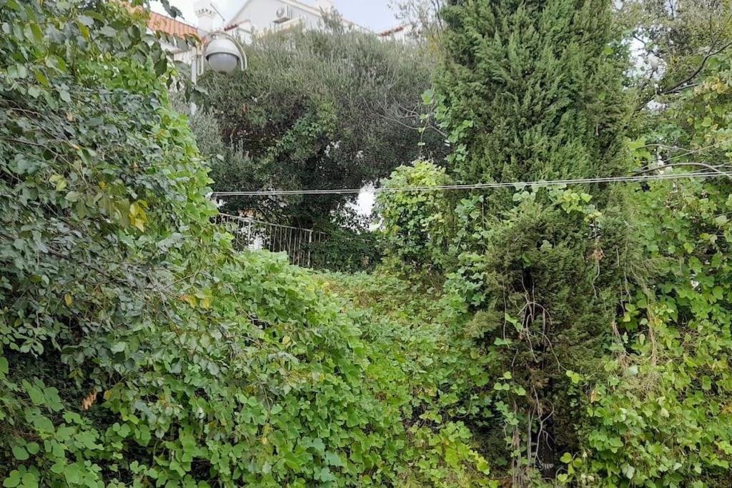 Appartamento Sweet - Excellent Location *